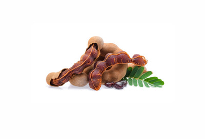 Tamarind Seed Extract